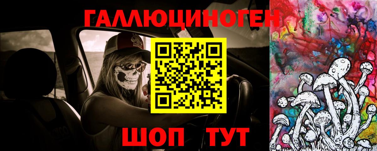 Псилоцибиновые грибы прущие грибы  Вход с VPN  где купить наркоту  Ишим 