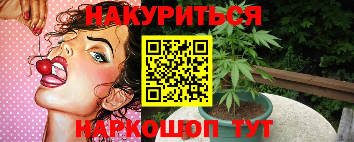 Шишки марихуана гибрид Ишим